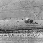 Truck and birds on the north side of the lake